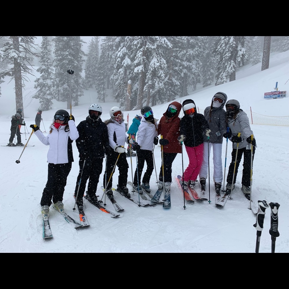 Meet your Posher, Lili